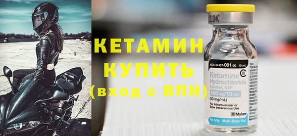 твердый Новозыбков