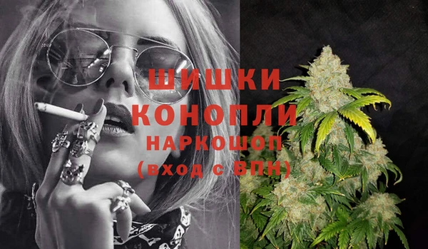 твердый Новозыбков