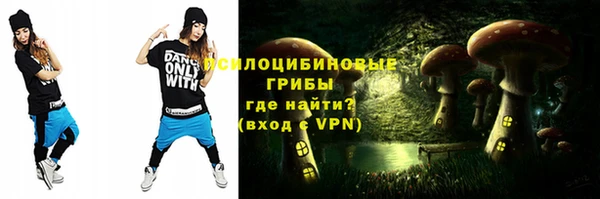 спиды Новодвинск