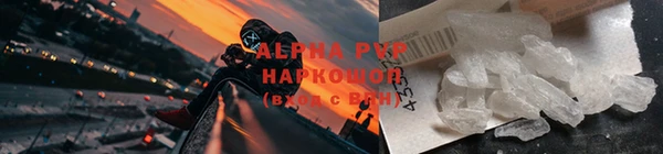 спиды Новодвинск