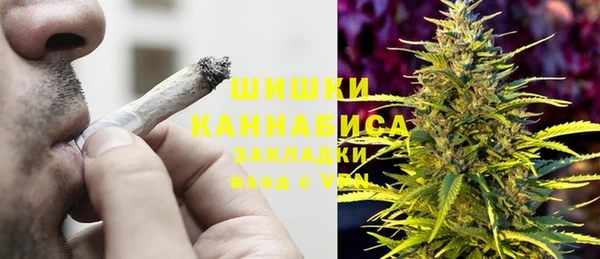 твердый Новозыбков