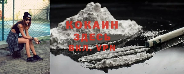 спиды Новодвинск
