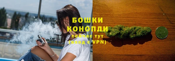 твердый Новозыбков