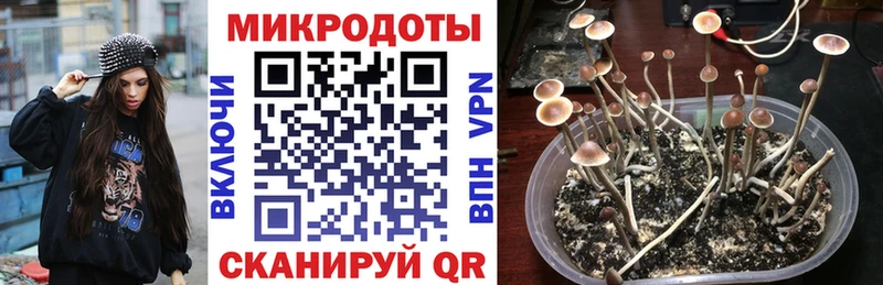 Псилоцибиновые грибы MAGIC MUSHROOMS  Ульяновск 
