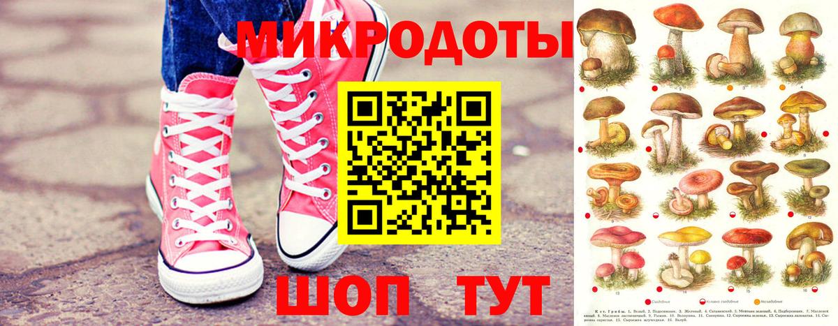 Ульяновск  Галлюциногенные грибы Psilocybe  Вход с VPN 